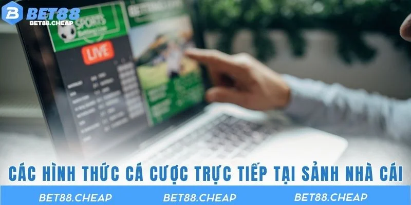 Các hình thức cá cược trực tiếp tại sảnh nhà cái