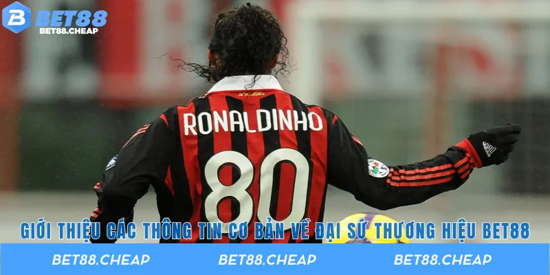 Giới thiệu các thông tin cơ bản về đại sứ thương hiệu BET88
