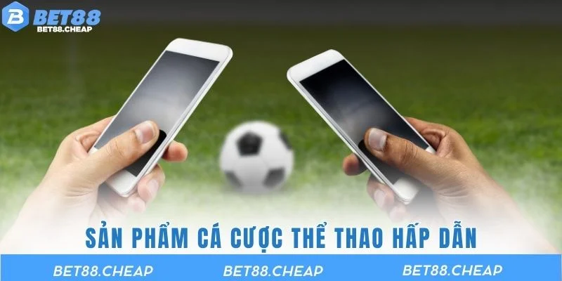 Sản phẩm cá cược thể thao hấp dẫn chỉ có tại sảnh BTI