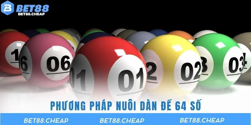 Phương pháp nuôi dàn đề 64 số