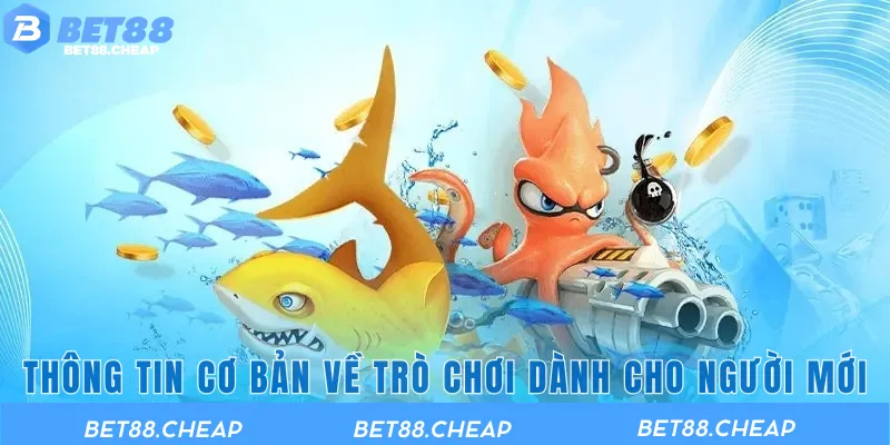 Thông tin cơ bản về trò chơi dành cho người mới