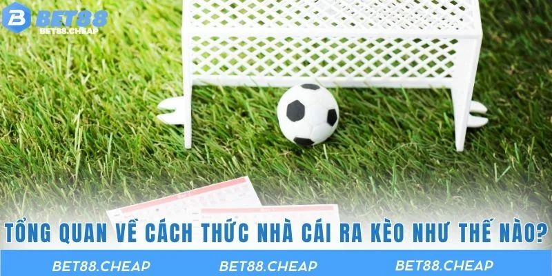 Tổng quan về cách thức nhà cái ra kèo như thế nào?