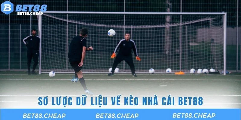 Sơ lược dữ liệu về kèo nhà cái BET88